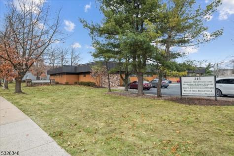 215 Union Avenue Bridgewater NJ 08807