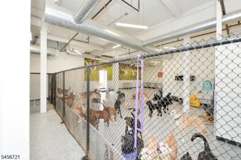 85 Walnut Street Montclair NJ 07042