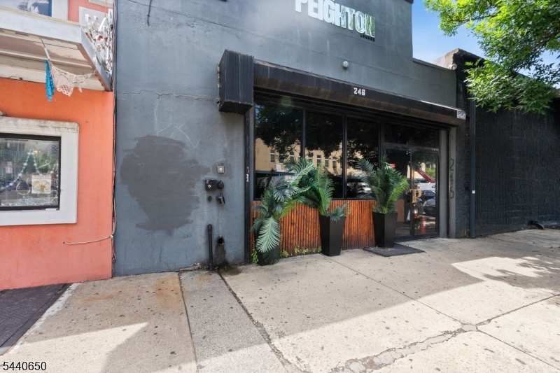 246 Mulberry Street Newark NJ 07102