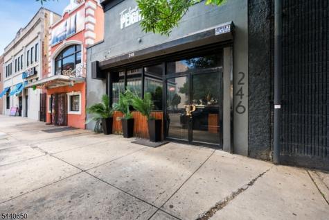 246 Mulberry Street Newark NJ 07102