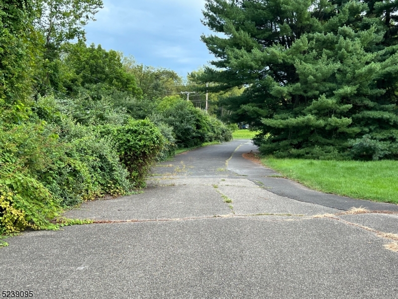 110 Woodfern Road Branchburg NJ 08853