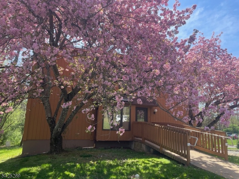 930 Mount Kemble Avenue Harding NJ 07960