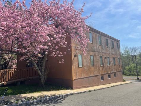 930 Mount Kemble Avenue Harding NJ 07960