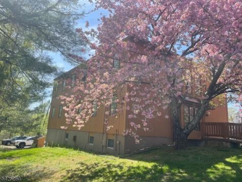 930 Mount Kemble Avenue Harding NJ 07960