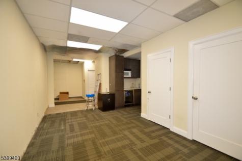 17 Ogden Street Chatham NJ 07928