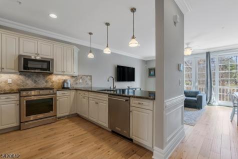 8 Schmidt Circle Watchung NJ 07069