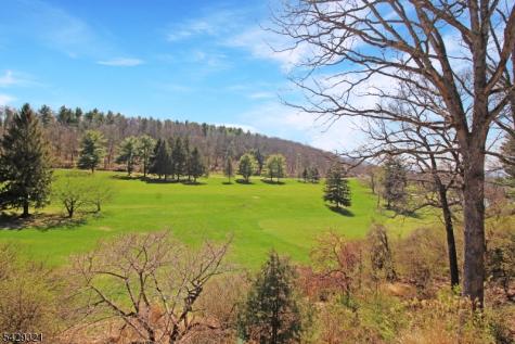 2 Eaglet Glen Allamuchy NJ 07840