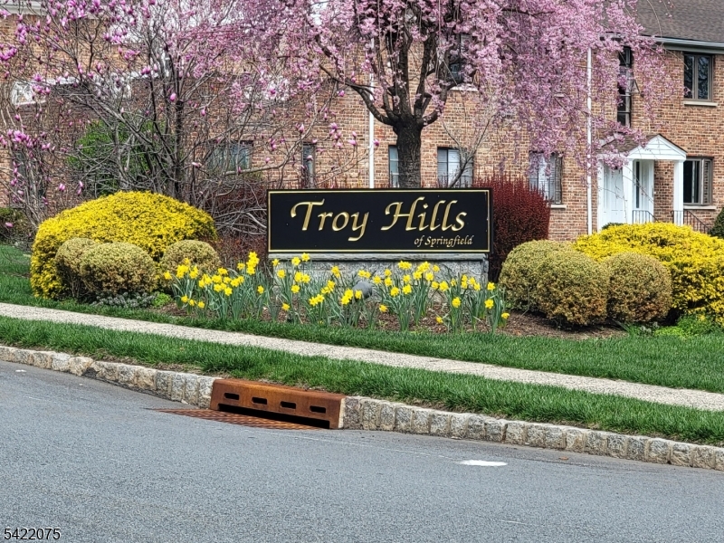 21 Troy Drive Springfield NJ 07081