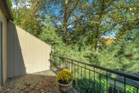 2 Sycamore Lane Harding NJ 07976