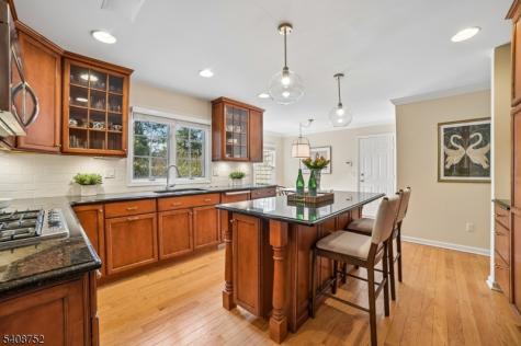 48 Pippins Way Morris NJ 07960