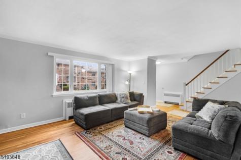31 Troy Drive Springfield NJ 07081