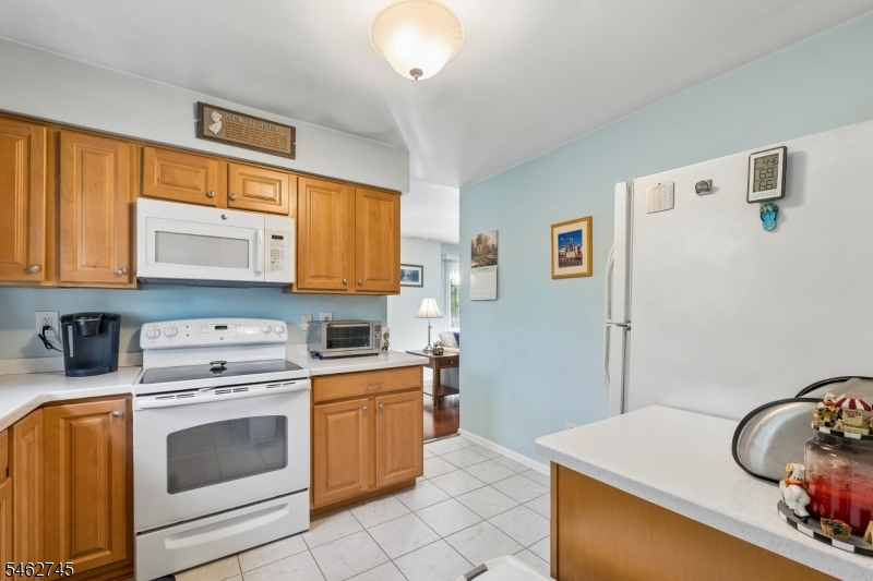 250 Nuthatch Court Readington NJ 08887