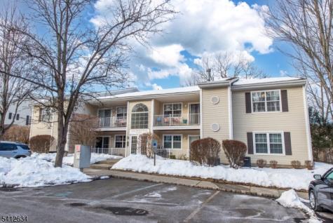 16 Spruce Terrace Mount Arlington NJ 07856