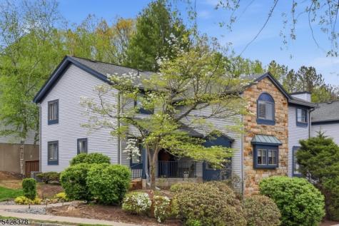 54 Overlook Drive Independence NJ 07840