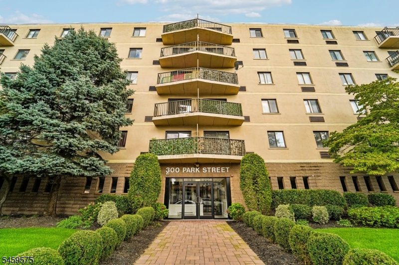 300 Park Street Hackensack NJ 07601