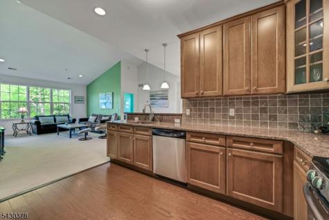 909 Brook Hollow Drive Hanover NJ 07981