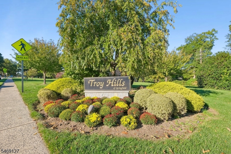 60 Troy Drive Springfield NJ 07081