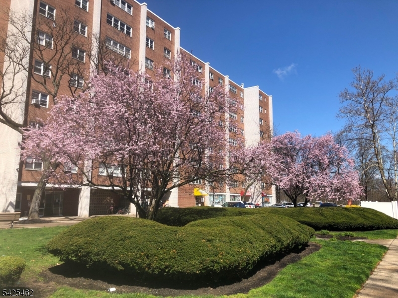 39 E 39th Street Paterson NJ 07514