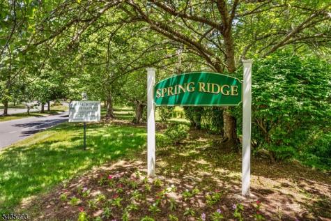 125 Smithfield Court Bernards NJ 07920