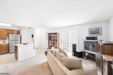 125 Smithfield Court Bernards NJ 07920
