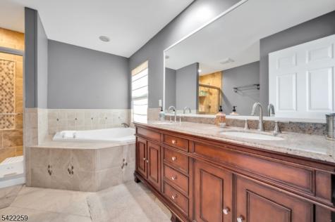 17 Gordon Circle Parsippany-troy Hills NJ 07054