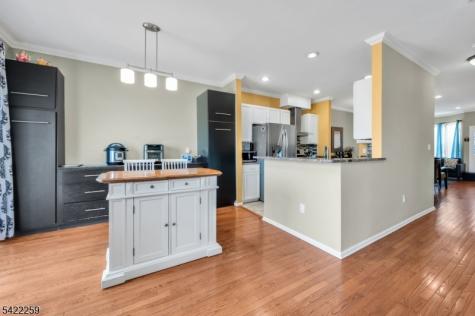 17 Gordon Circle Parsippany-troy Hills NJ 07054