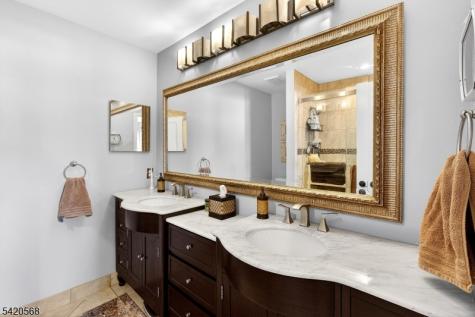 48 Academy Court Bedminster NJ 07921