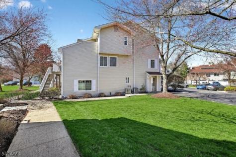48 Academy Court Bedminster NJ 07921