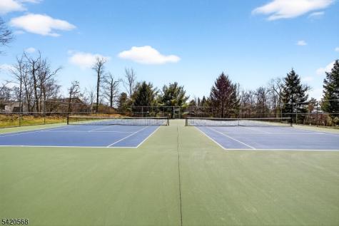 48 Academy Court Bedminster NJ 07921