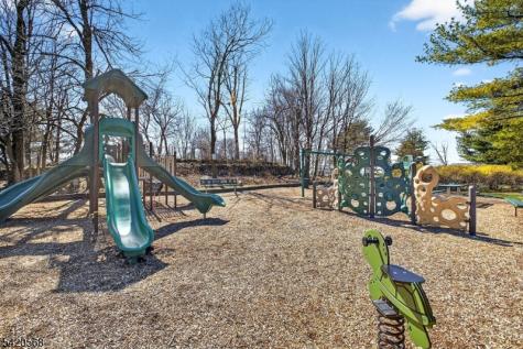 48 Academy Court Bedminster NJ 07921