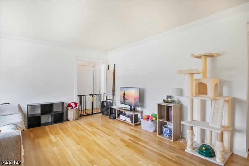 311 Pitney Place Morris NJ 07960
