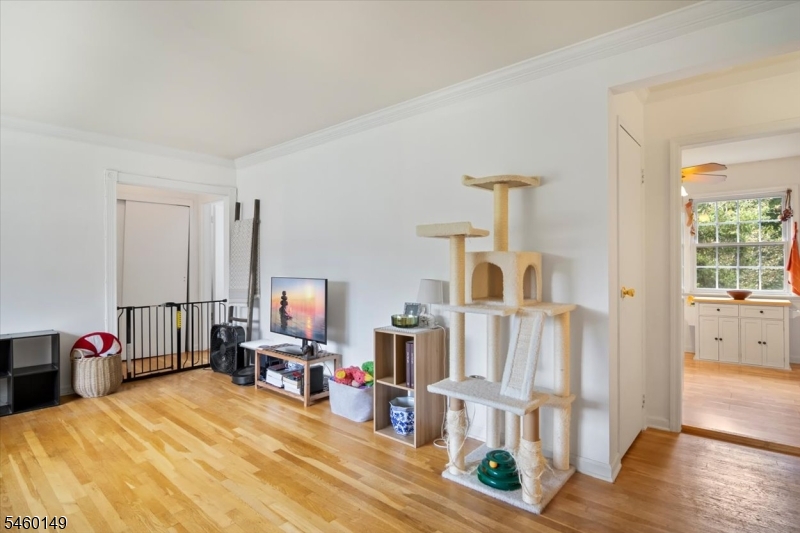 311 Pitney Place Morris NJ 07960