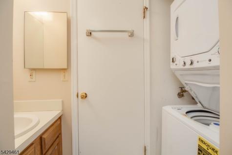 3 Sage Court Bedminster NJ 07921