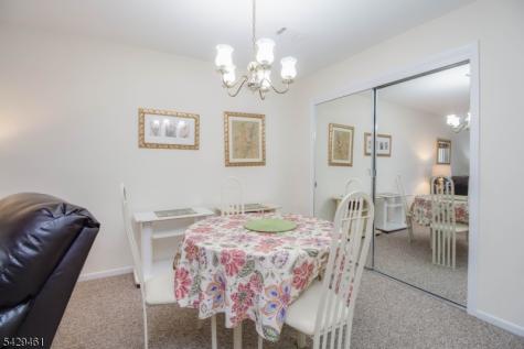 3 Sage Court Bedminster NJ 07921