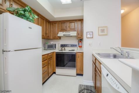 3 Sage Court Bedminster NJ 07921