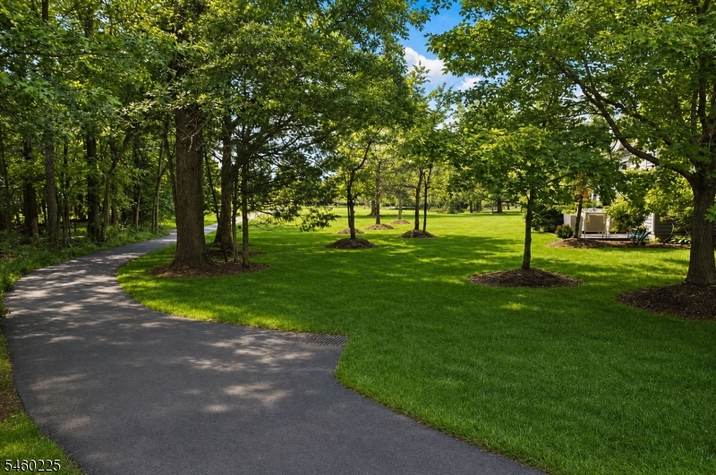 298 Greenfield Road Bridgewater NJ 08807