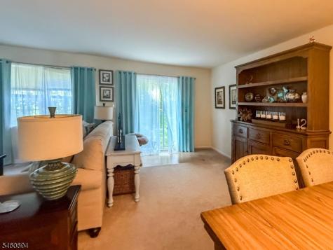 27 Birch Terrace Mount Arlington NJ 07856
