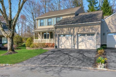 9 Forest Dale Drive Harding NJ 07960
