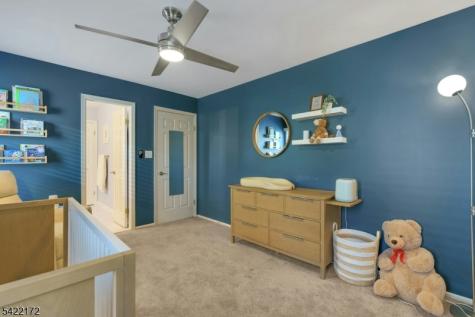 9 Forest Dale Drive Harding NJ 07960
