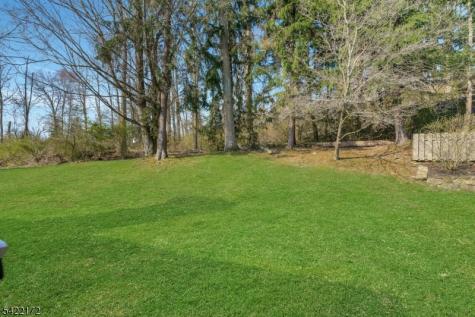 9 Forest Dale Drive Harding NJ 07960