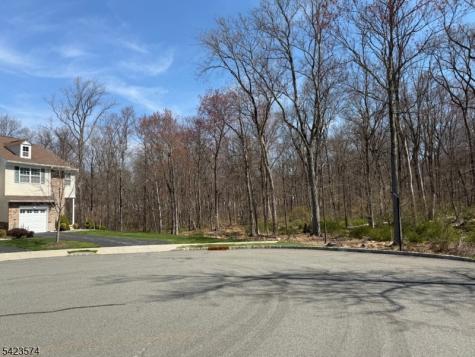 9 Pembrook Lane Mount Olive NJ 07828
