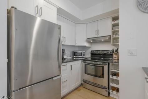 30 Tansy Court Bedminster NJ 07921