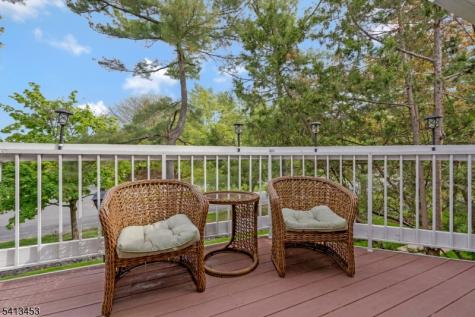 30 Tansy Court Bedminster NJ 07921