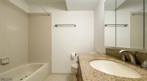 2301 Privet Way Bernards NJ 07920