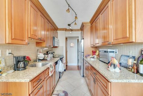 300 Winston Dr-c0214 Cliffside Park NJ 07010
