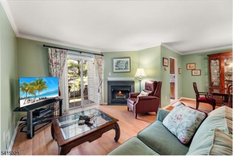 28 Garfield Way Montgomery NJ 08540