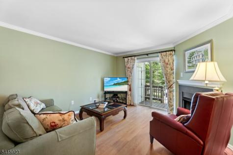 28 Garfield Way Montgomery NJ 08540