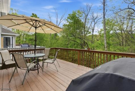 16 Pale Star Court Hardyston NJ 07419