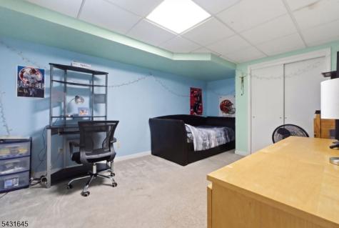 16 Pale Star Court Hardyston NJ 07419