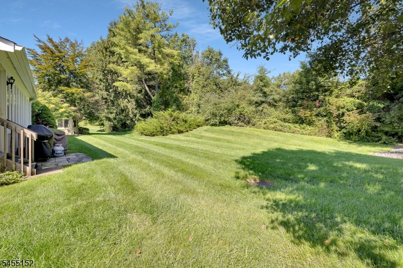41 Dexter Drive N Bernards NJ 07920